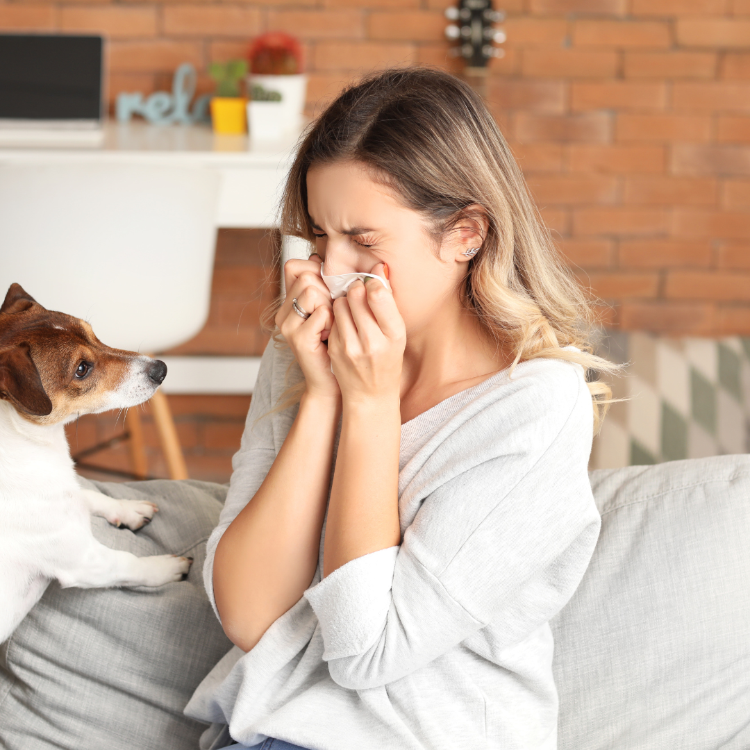 How Can I Calm My Allergies at Night?