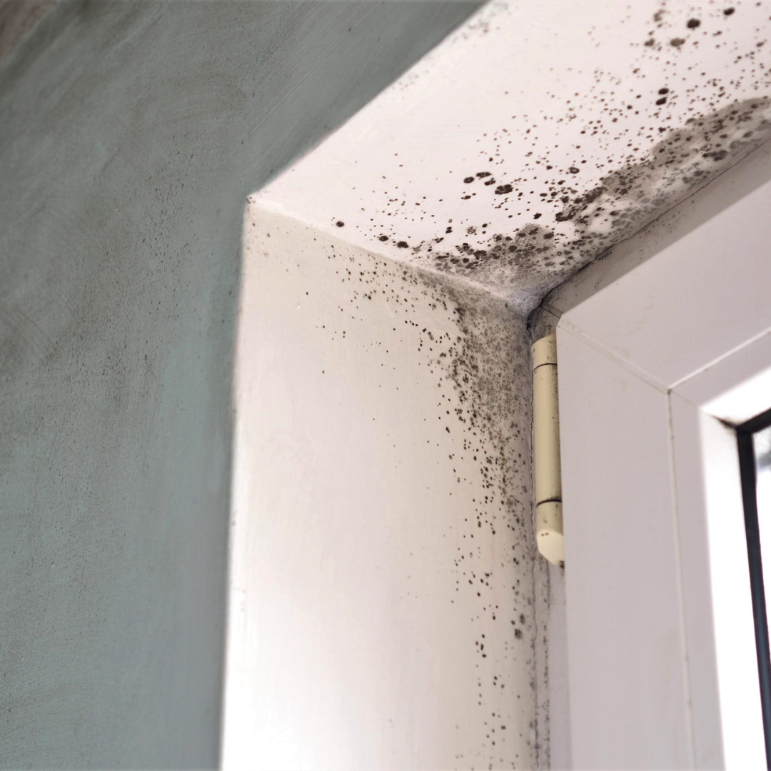 Is it OK to Sleep In a Bedroom with Mould?